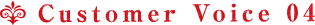 Customer Voice 04